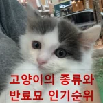 고양이 종류